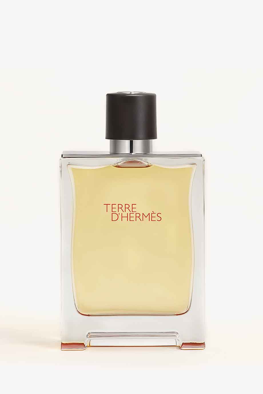 Picture of HERMES TERRE D'HERMES FOR MEN EAU DE TOILETTE 100ML