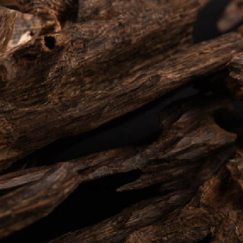Picture for category Oud